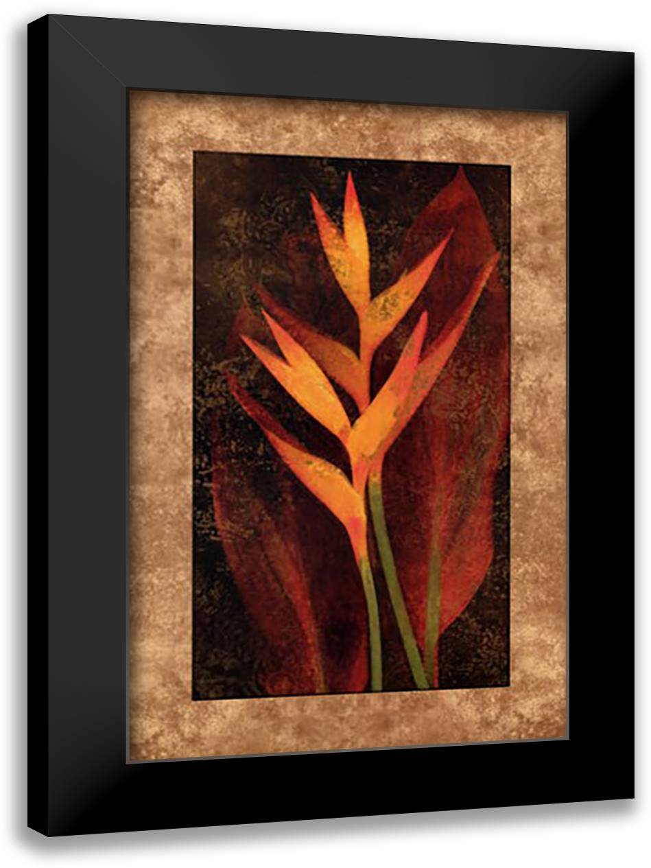 Heliconia 24x36 Black Modern Wood Framed Art Print Poster by Seba, John