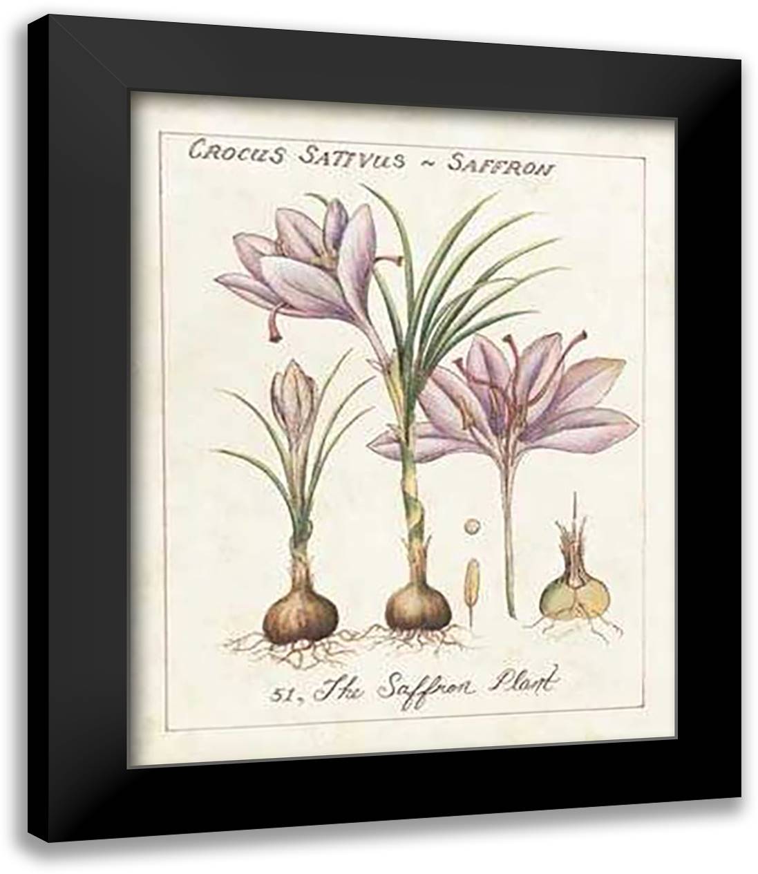 Global Spices III 15x18 Black Modern Wood Framed Art Print Poster by Brooks, Janice M.