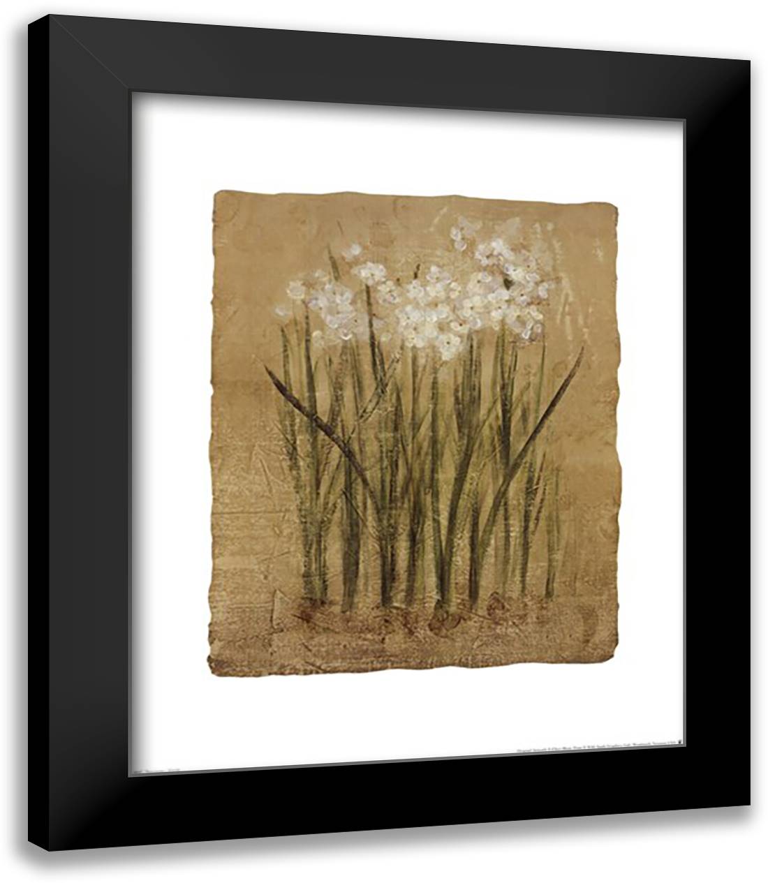Narcissus-Small 15x18 Black Modern Wood Framed Art Print Poster by Blum, Cheri
