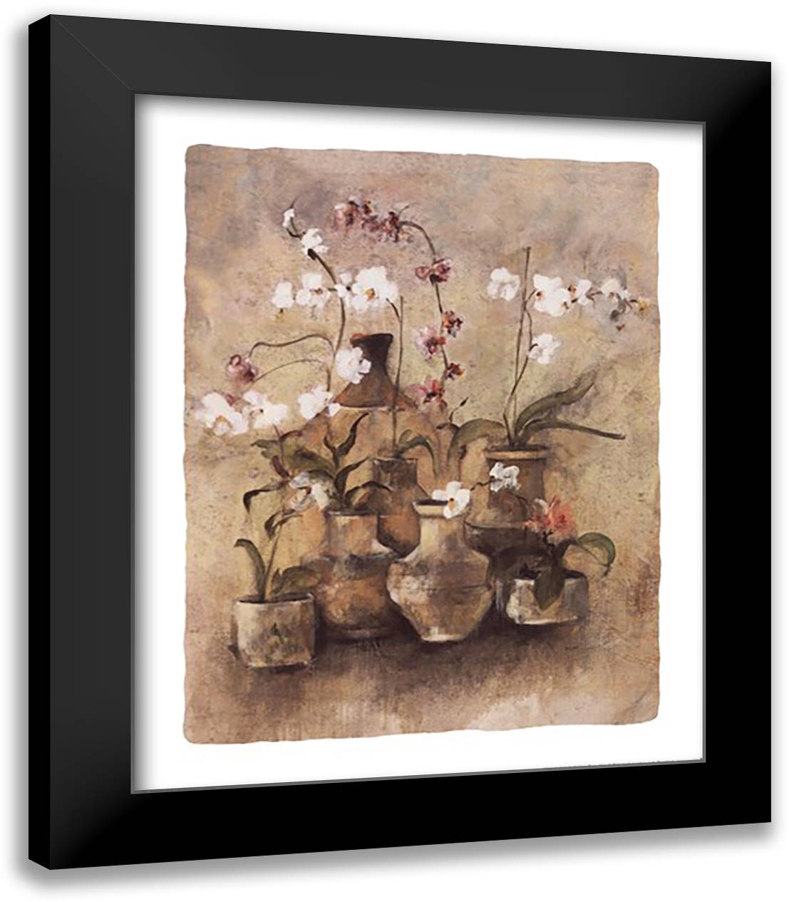 Arrangement of Orchids I 15x18 Black Modern Wood Framed Art Print Poster by Blum, Cheri