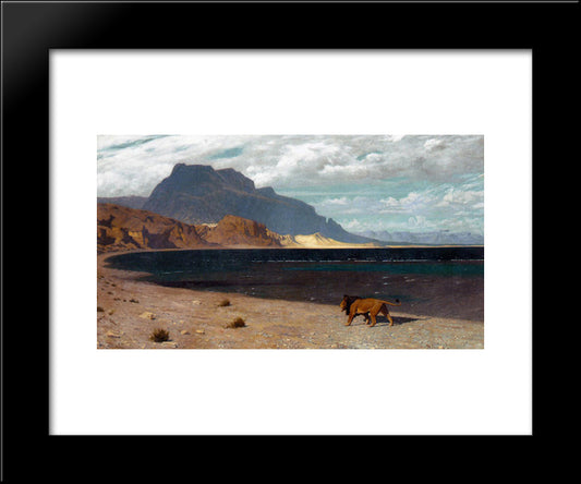 Quaerens Quem Devoret 20x24 Black Modern Wood Framed Art Print Poster by Gerome, Jean Leon