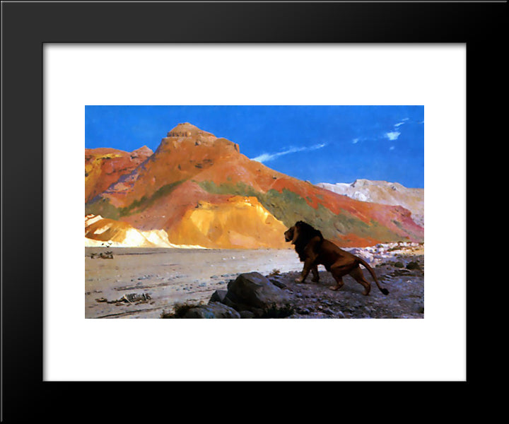Lion 20x24 Black Modern Wood Framed Art Print Poster by Gerome, Jean Leon