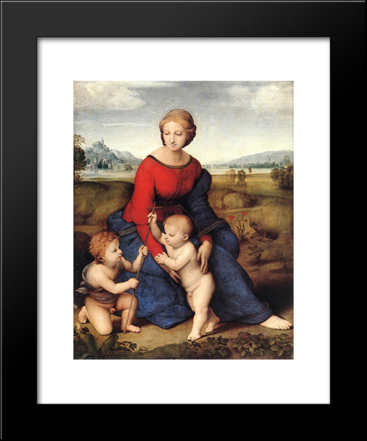 Madonna Of Belvedere 20x24 Black Modern Wood Framed Art Print Poster by Raphael