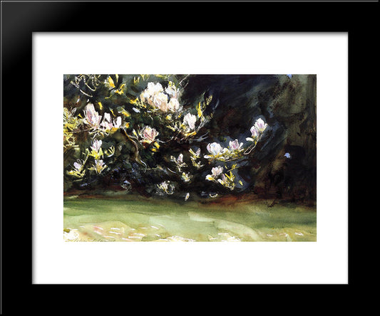 Magnolias 20x24 Black Modern Wood Framed Art Print Poster by Sargent, John Singer