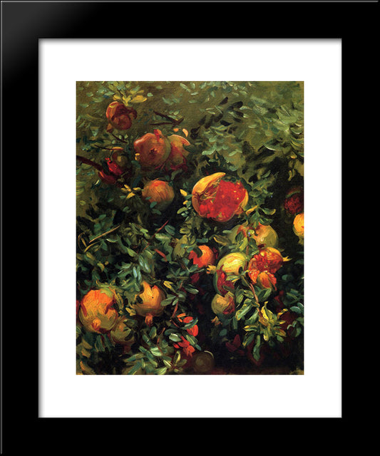 Pomegranates 20x24 Black Modern Wood Framed Art Print Poster by Sargent, John Singer