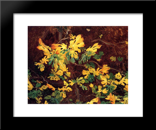 Study Of A Fig Tree 20x24 Black Modern Wood Framed Art Print Poster by Sargent, John Singer