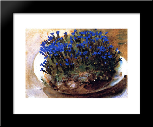 Blue Gentians 20x24 Black Modern Wood Framed Art Print Poster by Sargent, John Singer