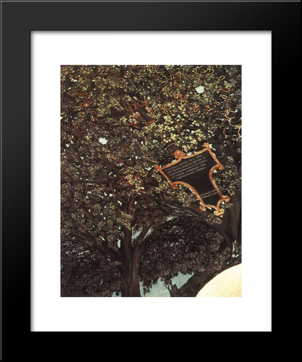 Ceiling Decoration 20x24 Black Modern Wood Framed Art Print Poster by da Vinci, Leonardo