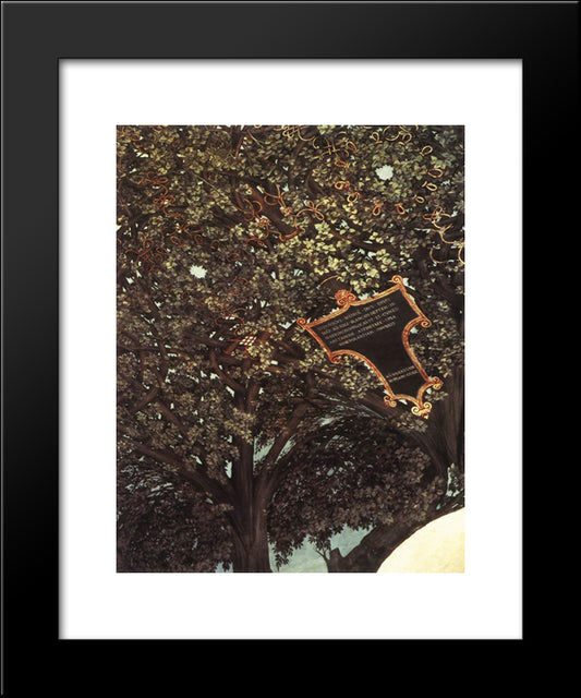 Ceiling Decoration 20x24 Black Modern Wood Framed Art Print Poster by da Vinci, Leonardo