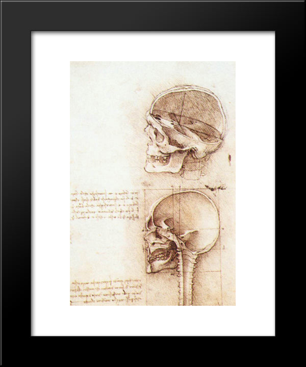 Studies Of Human Skull 20x24 Black Modern Wood Framed Art Print Poster by da Vinci, Leonardo