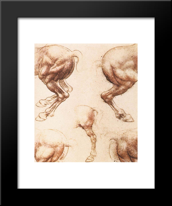 Study Of Horses 20x24 Black Modern Wood Framed Art Print Poster by da Vinci, Leonardo