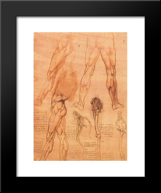 Studies Of Legs Of Man And The Leg Of A Horse 20x24 Black Modern Wood Framed Art Print Poster by da Vinci, Leonardo