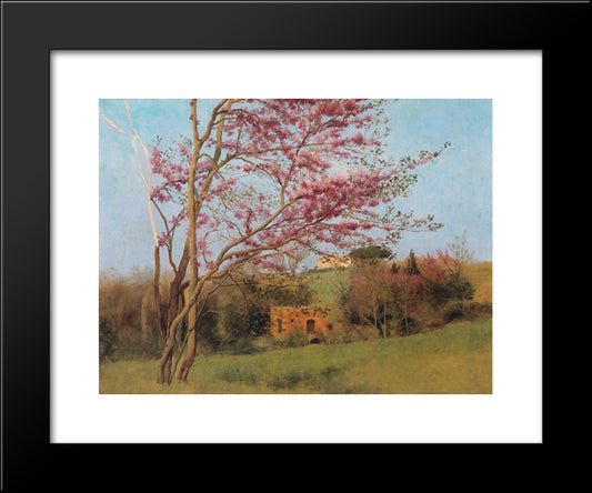 Landscape: Blossoming Red Almond [Study] 20x24 Black Modern Wood Framed Art Print Poster by Godward, John William