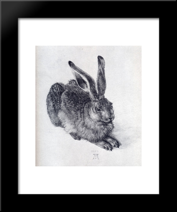 Young Hare 20x24 Black Modern Wood Framed Art Print Poster by Durer, Albrecht
