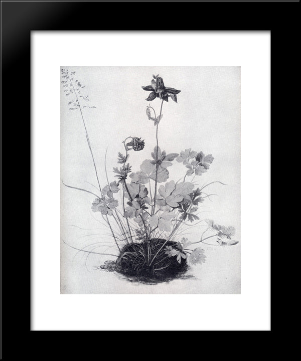 The Piece Of Turf With The Columbine 20x24 Black Modern Wood Framed Art Print Poster by Durer, Albrecht