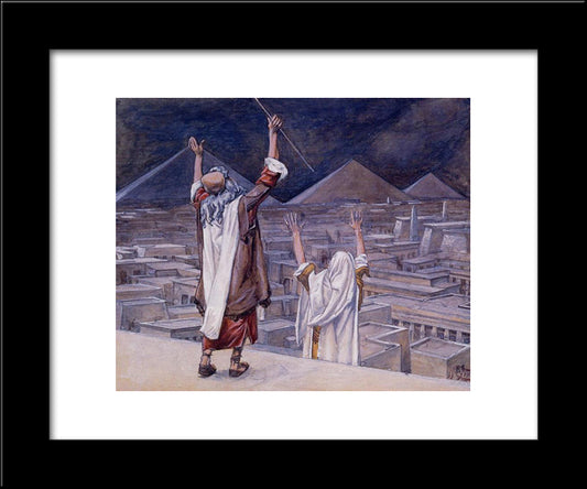 The Plague Of Locusts 20x24 Black Modern Wood Framed Art Print Poster by Tissot, James