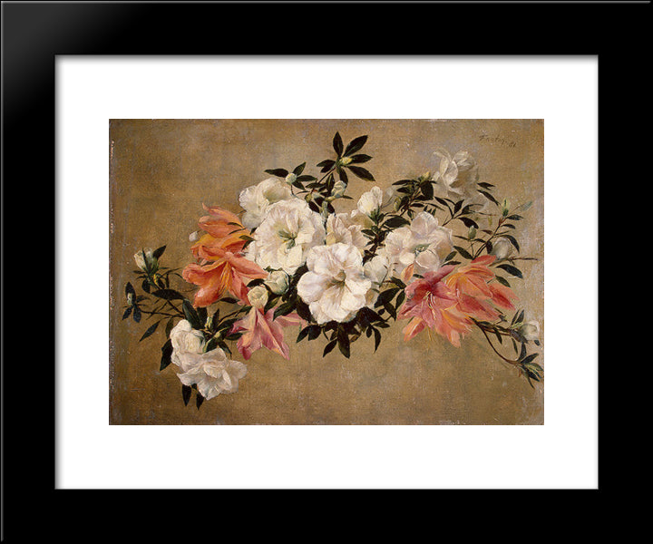 Petunias 20x24 Black Modern Wood Framed Art Print Poster by Fantin Latour, Henri