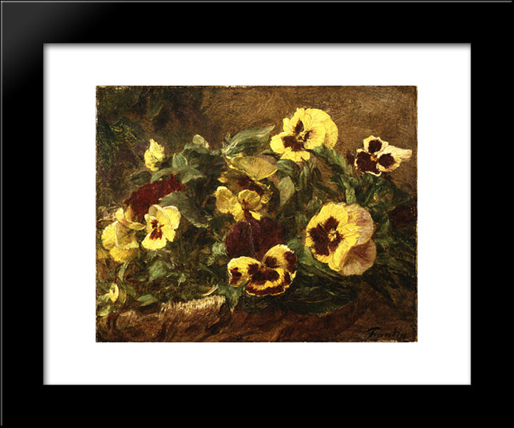 Pansies 20x24 Black Modern Wood Framed Art Print Poster by Fantin Latour, Henri