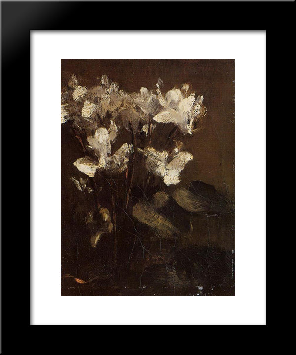 Fleurs, Cyclamens 20x24 Black Modern Wood Framed Art Print Poster by Fantin Latour, Henri