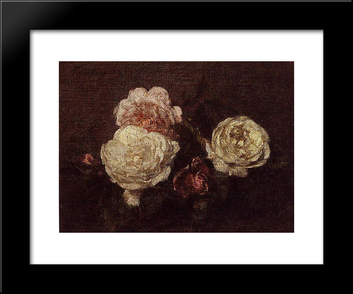 Flowers: Roses 20x24 Black Modern Wood Framed Art Print Poster by Fantin Latour, Henri