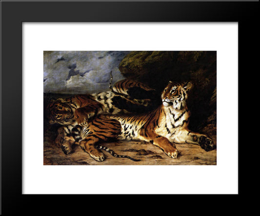 A Young Tiger Playing With Its Mother 20x24 Black Modern Wood Framed Art Print Poster by Delacroix, Eugene