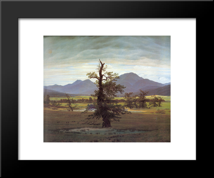 Landscape With Solitary Tree 20x24 Black Modern Wood Framed Art Print Poster by Friedrich, Caspar David