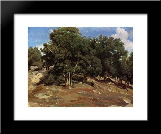 Fontainebleau ' Black Oaks Of Bas'Breau 20x24 Black Modern Wood Framed Art Print Poster by Corot, Jean Baptiste Camille