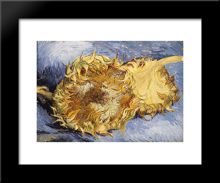 Sunflowers 20x24 Black Modern Wood Framed Art Print Poster by Van Gogh, Vincent