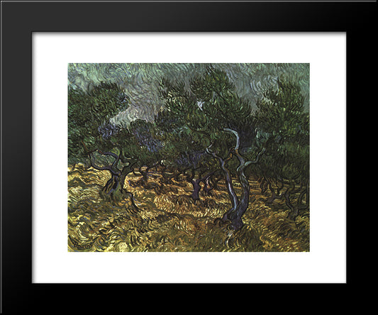 The Olive Grove 20x24 Black Modern Wood Framed Art Print Poster by Van Gogh, Vincent