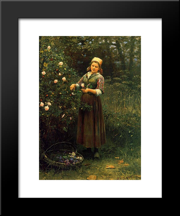 Cutting Roses 20x24 Black Modern Wood Framed Art Print Poster by Knight, Daniel Ridgway