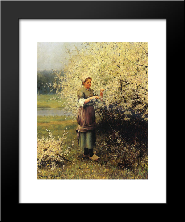 Spring Blossoms 20x24 Black Modern Wood Framed Art Print Poster by Knight, Daniel Ridgway