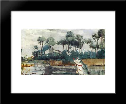 Black Bass, Florida 20x24 Black Modern Wood Framed Art Print Poster by Homer, Winslow