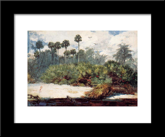 In A Florida Jungle 20x24 Black Modern Wood Framed Art Print Poster by Homer, Winslow