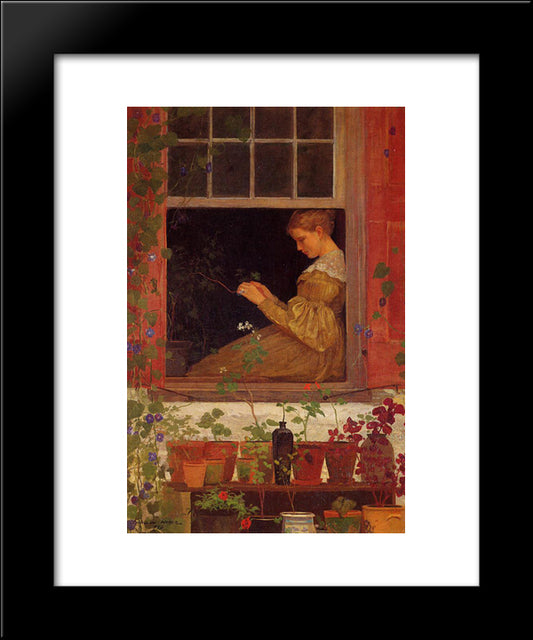 Morning Glories 20x24 Black Modern Wood Framed Art Print Poster by Homer, Winslow