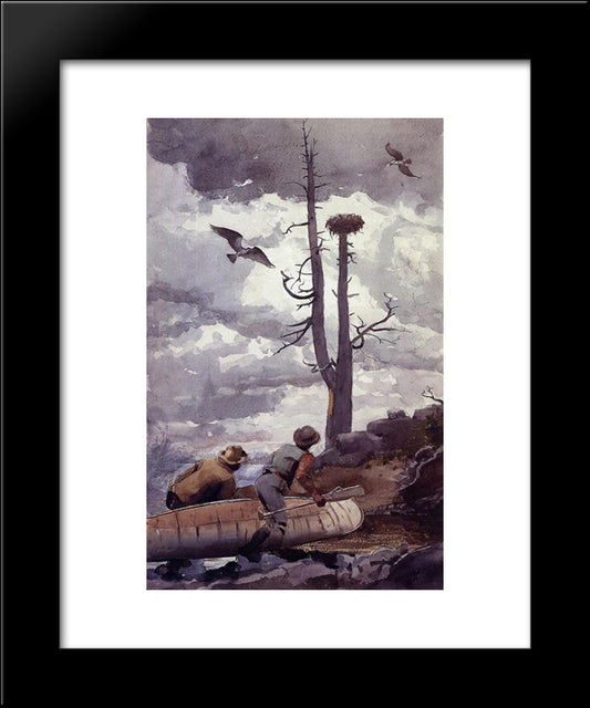 Osprey'S Nest 20x24 Black Modern Wood Framed Art Print Poster by Homer, Winslow