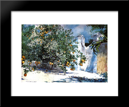 Orange Tree, Nassau 20x24 Black Modern Wood Framed Art Print Poster by Homer, Winslow