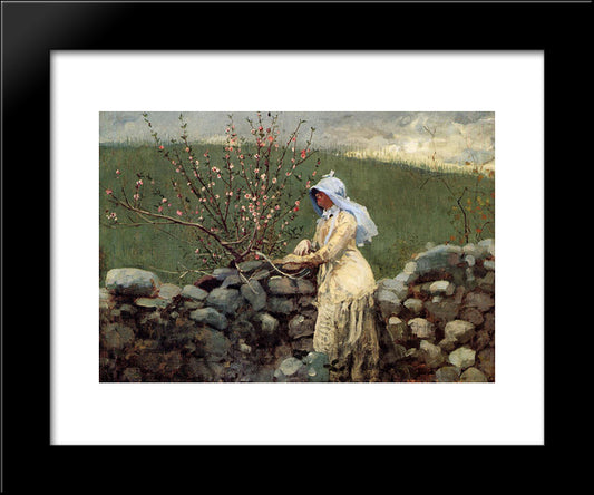 Peach Blossoms 20x24 Black Modern Wood Framed Art Print Poster by Homer, Winslow