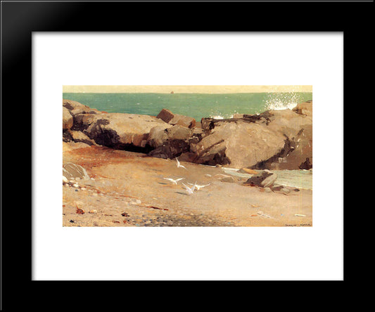 Rocky Coast And Gulls 20x24 Black Modern Wood Framed Art Print Poster by Homer, Winslow