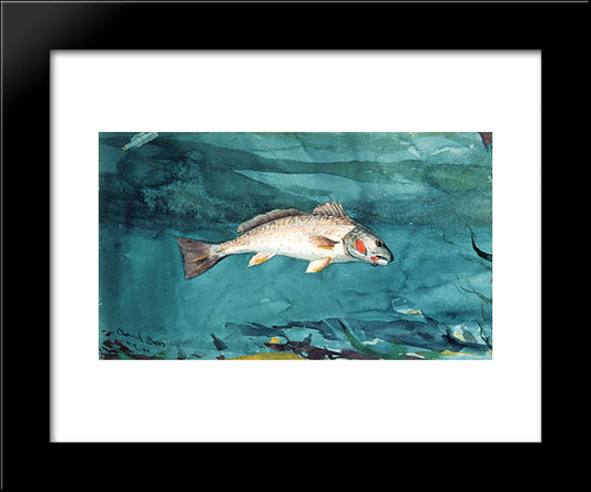 Channel Bass 20x24 Black Modern Wood Framed Art Print Poster by Homer, Winslow