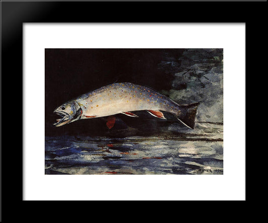 A Brook Trout 20x24 Black Modern Wood Framed Art Print Poster by Homer, Winslow