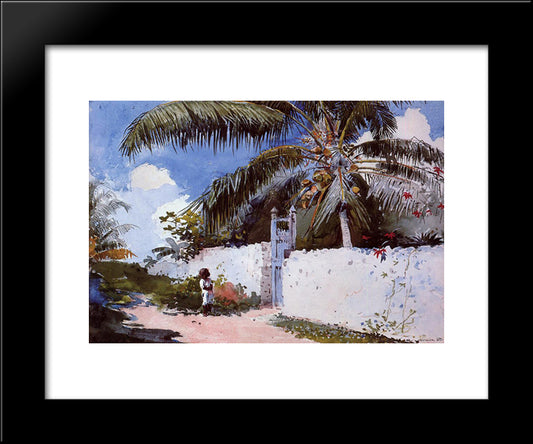 A Garden In Nassau 20x24 Black Modern Wood Framed Art Print Poster by Homer, Winslow