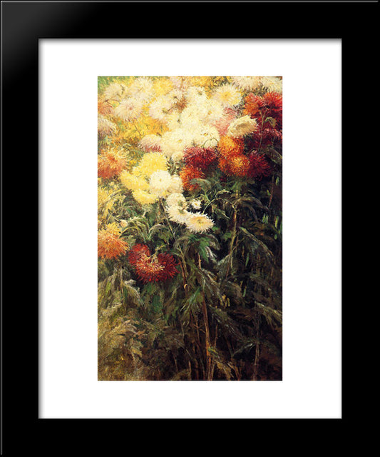 Chrysanthemums, Garden At Petit Gennevilliers 20x24 Black Modern Wood Framed Art Print Poster by Caillebotte, Gustave