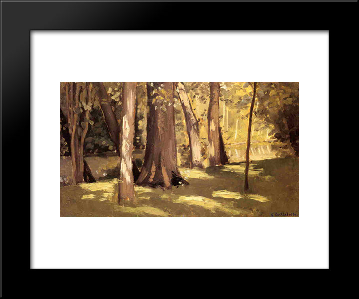 The Yerres, Effect Of Light 20x24 Black Modern Wood Framed Art Print Poster by Caillebotte, Gustave