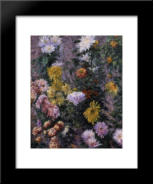 White And Yellow Chrysanthemums, Garden At Petit Gennevilliers 20x24 Black Modern Wood Framed Art Print Poster by Caillebotte, Gustave