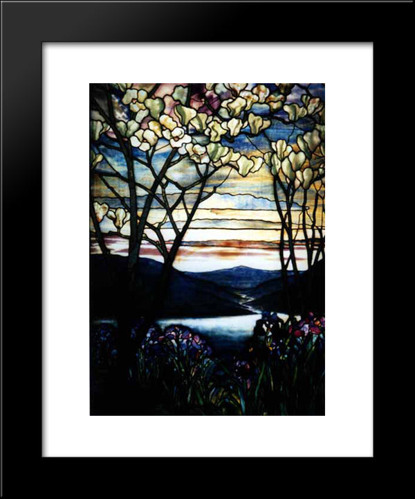 Magnolias And Irises 20x24 Black Modern Wood Framed Art Print Poster by Tiffany, Louis Comfort