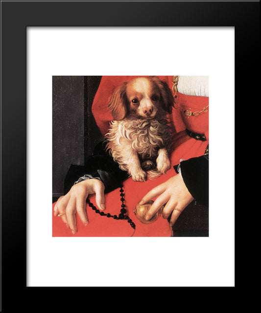 Portrait Of A Lady With A Puppy [Detail] 20x24 Black Modern Wood Framed Art Print Poster by Bronzino, Agnolo