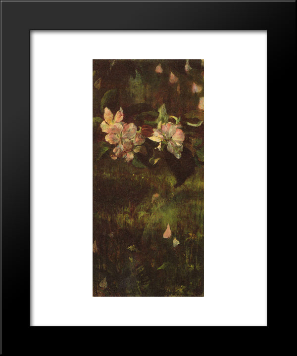 Apple Blossoms 20x24 Black Modern Wood Framed Art Print Poster by LaFarge, John