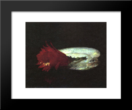 Shell And Flower 20x24 Black Modern Wood Framed Art Print Poster by LaFarge, John