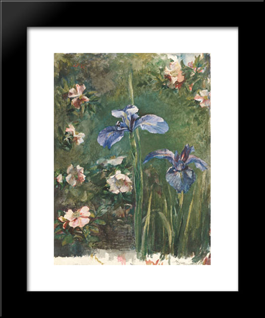 Wild Roses And Irises 20x24 Black Modern Wood Framed Art Print Poster by LaFarge, John