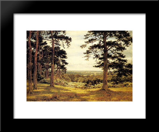 A Peep Through The Pines 20x24 Black Modern Wood Framed Art Print Poster by Leader, Benjamin Williams